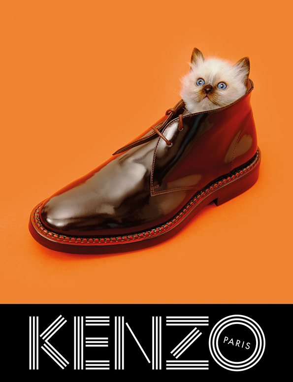 KENZO_FW13_Campaign_-_cat_shoe.png
