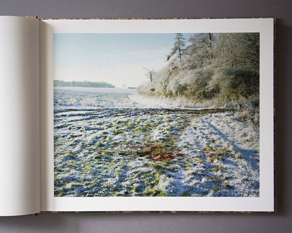 Book-7.jpg