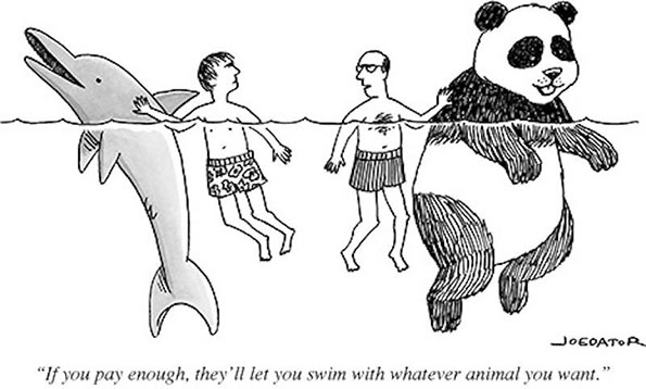 JoeDator-pandaswim-int.jpg
