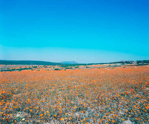 visser-namaqualand-int-1.png