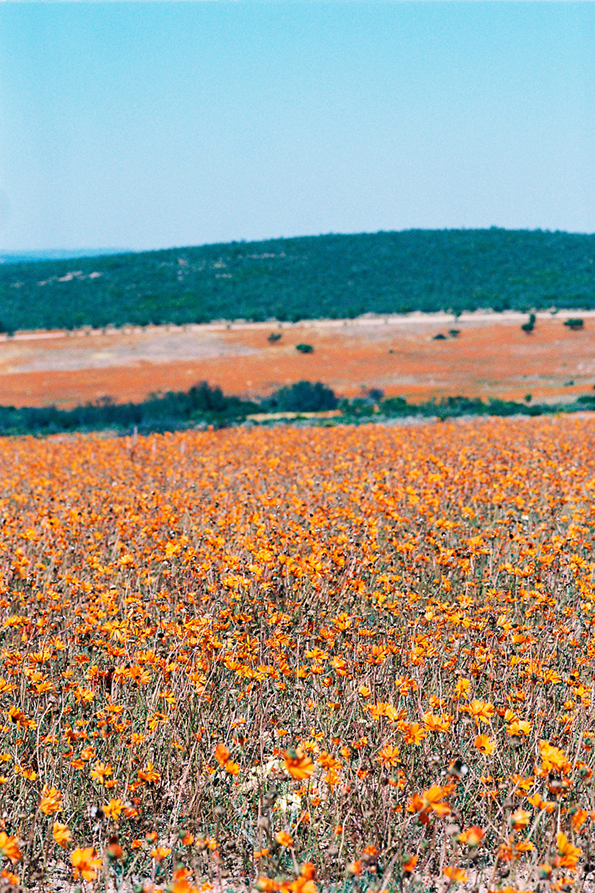 visser-namaqualand-int-4.png