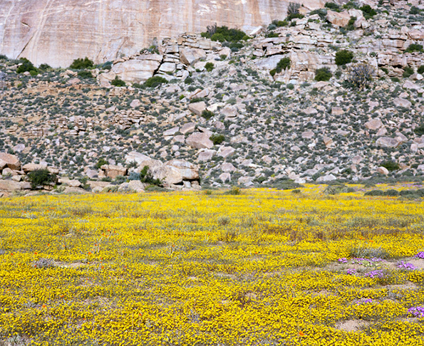 visser-namaqualand-int-9.png