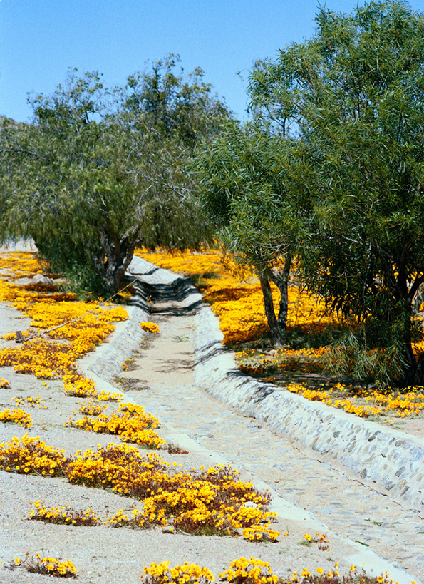 visser-namaqualand-int-11.png