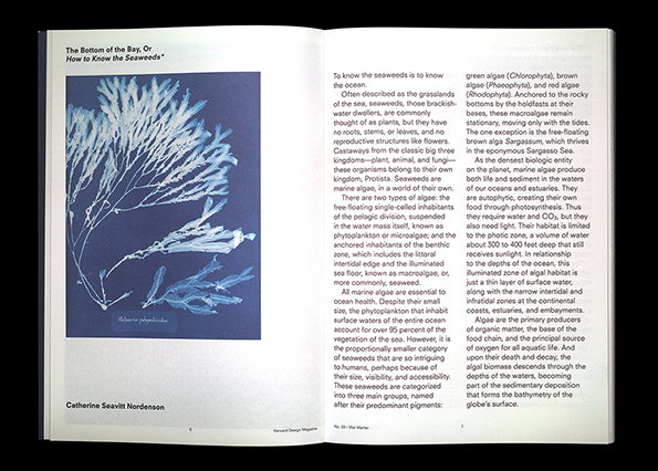 HarvardDesignMagazine-spread-7-int.jpg