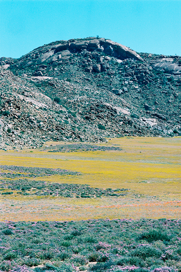 visser-namaqualand-int-18.png
