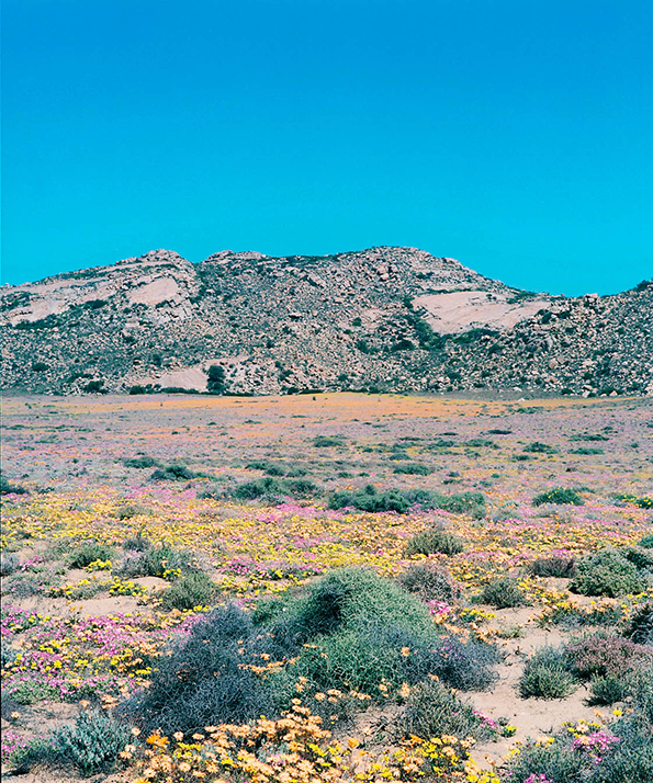 visser-namaqualand-int-21.png