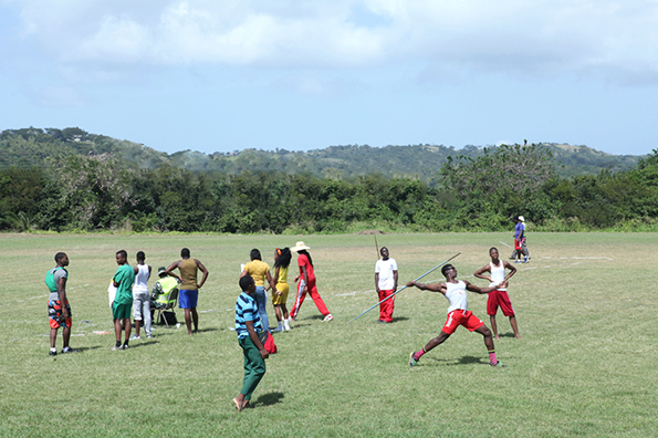 EmilyStein-Tobago-INT4.png