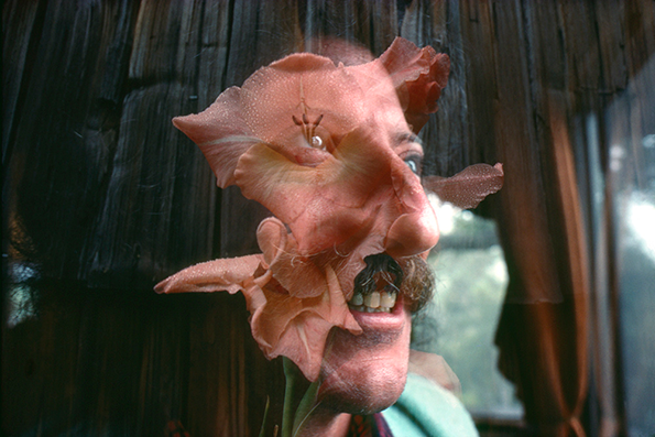 RogerSteffens-TheFamilyAcid5-INT.png