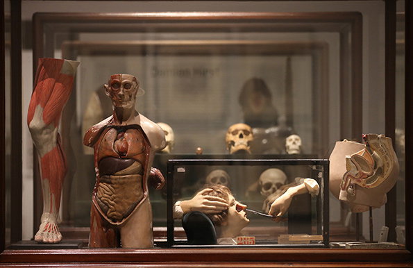 2-int-Damien-Hirst-collection.-Magnificent-Obsessions_The-Artist-as-Collector_-Barbican-Art-Gallery.-©Peter-MacDiarmid_-Getty-images..jpg