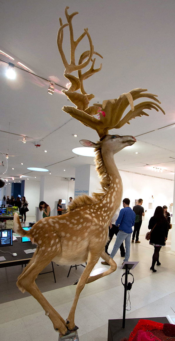 designindaba-pk-int-5.jpg