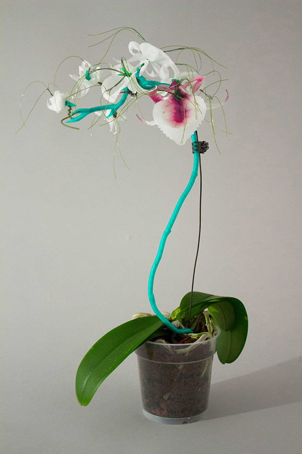 2-Orchid-WIP-Overall.jpg