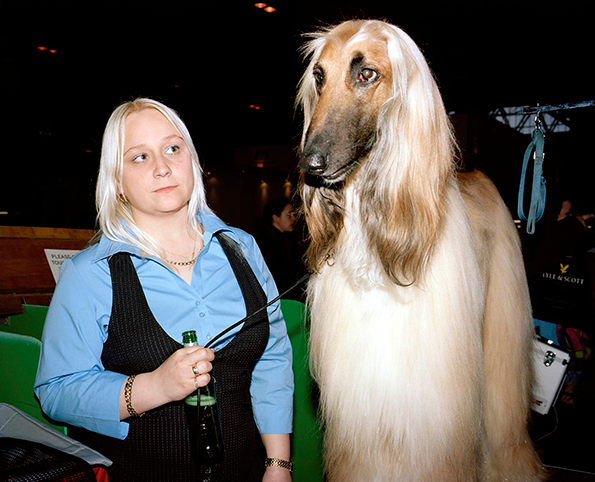 will-robson-scott-dogs-int-10.png