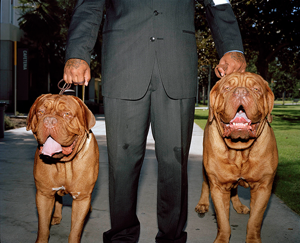 will-robson-scott-dogs-int-11.png
