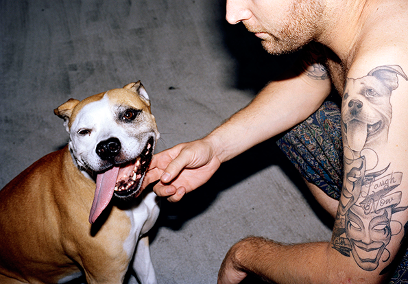 will-robson-scott-dogs-int-18.png