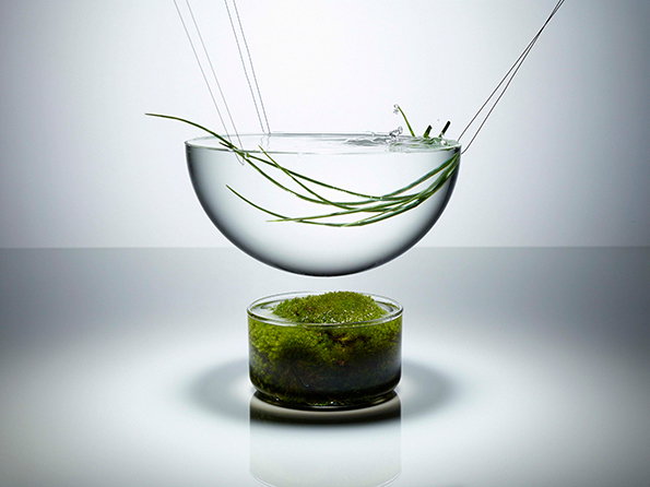 LaboratoryPerfumes_L_KF_TONKA-LR-int3.jpg