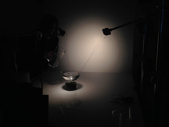 ZETTELER_LabPerfumes_L_KF_BTS_17-int3.jpg
