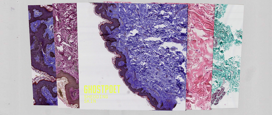 ghospoet-shedding-skin-int-HERO.png