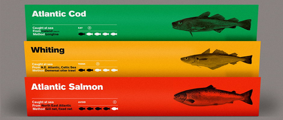 Design-by-st-fish-packaging-int-hero.jpg