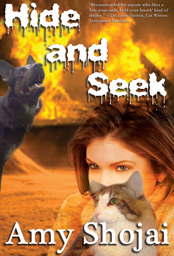 kindlecoverdisasters-int-5.jpg