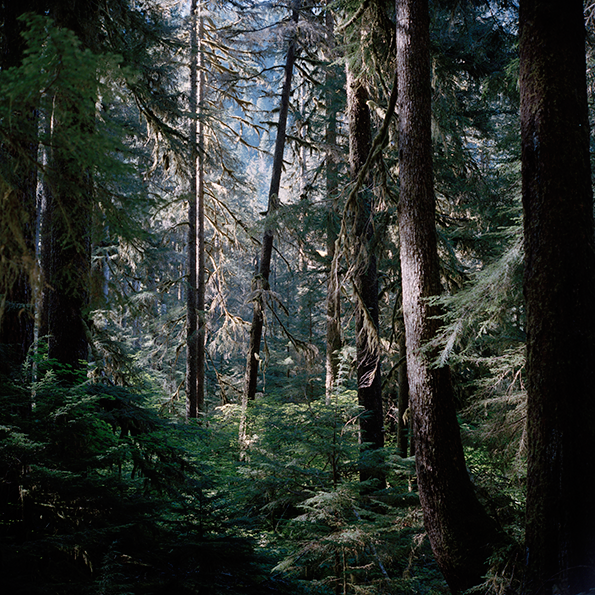 CB_Between-Two-Mysteries_int_07.png