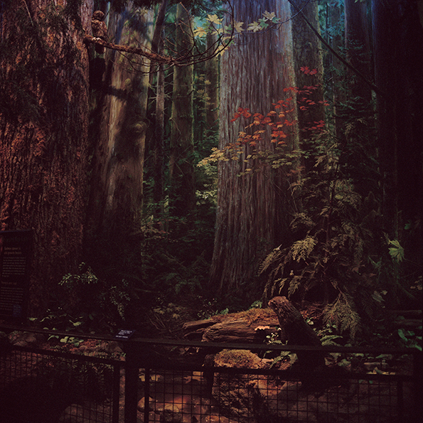 CB_Between-Two-Mysteries_int_08.png