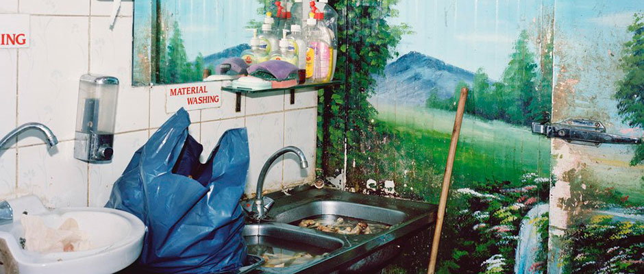 farah-al-qasimi-int-hero-2.jpg
