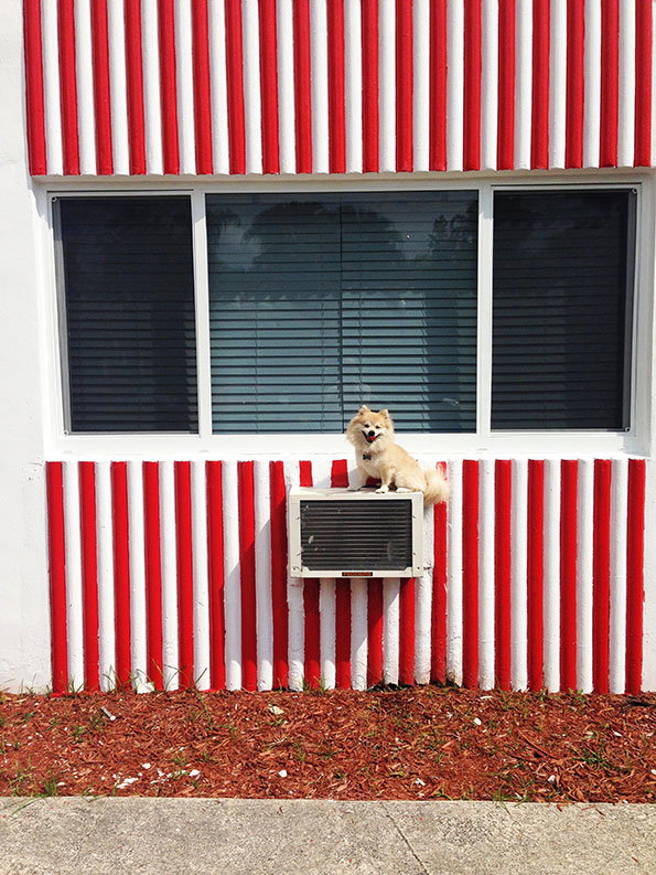 Tomas-Werner-Air-Conditioner.jpg