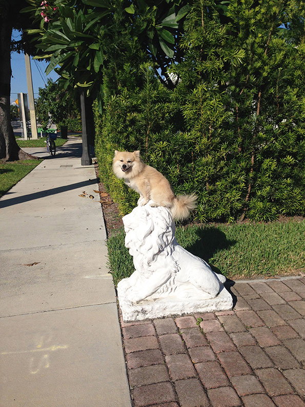 Tomas-Werner-GOST-lion-statue.jpg