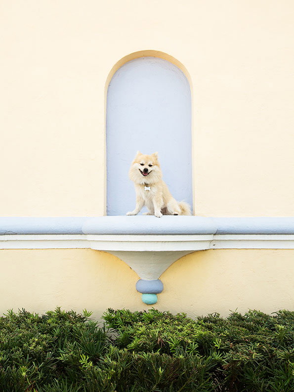 Tomas-Werner-GOST-yellow-fountain.jpg