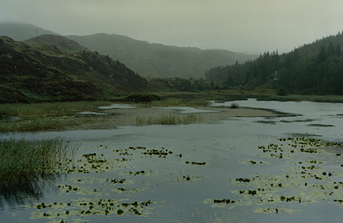Harley Weir's collection of eerily quiet natural and industrial landscapes