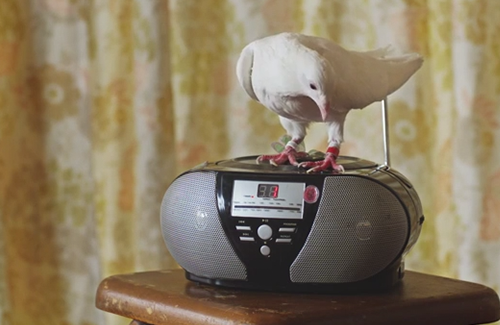 Lovely but bonkers Blur video for new single Lonesome Street