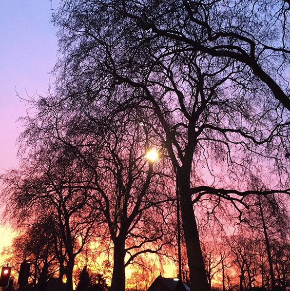 paulsmith-instagram-itsnicethat-8.jpg