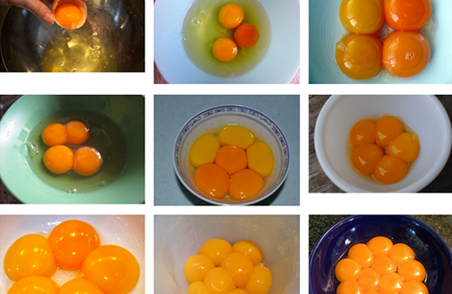 Dina Kelberman's I'm Google is a visual game of Chinese Whispers