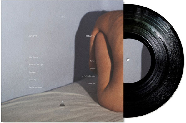 WIFE_WEB_BACKDRME-itsnicethat..jpg