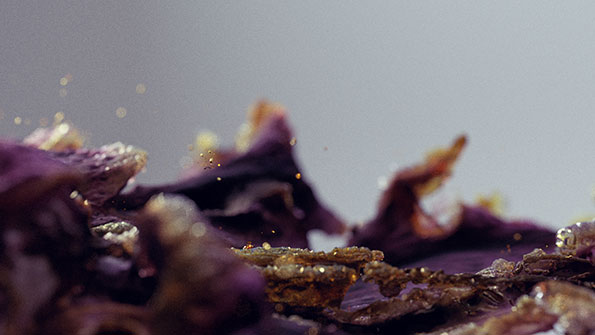AnalogWiPillyframeWarren-Du-Preez-_-Nick-Thornton-Jones-creative-review-annual-itsnicethat..jpg