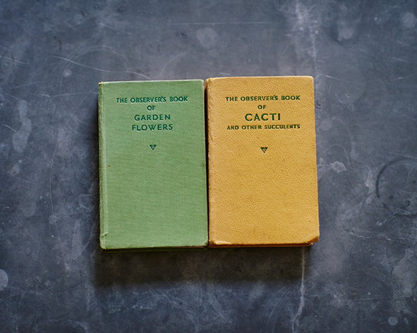 laurabradley-bookshelf-itsnicethat-5.jpg