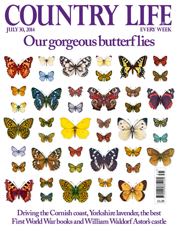 ppaawards-Countrylife-itsnicethat-1.jpg