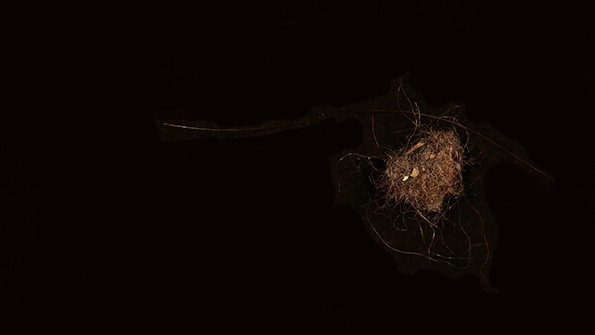 emilyscaife-hooverfluff-itsnicethat-2.jpg