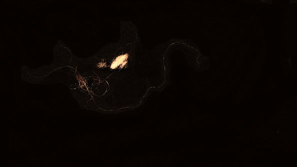 emilyscaife-hooverfluff-itsnicethat-5.jpg