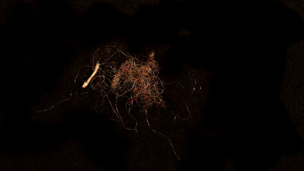 emilyscaife-hooverfluff-itsnicethat-8.jpg