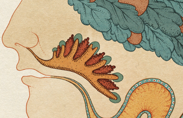 An illustration of a person’s profile, showing a detailed, organic structure inside the nasal cavity. Above the head, a cluster of teal and orange leaves grows in a dense pattern.