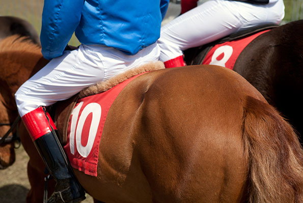 Emily_Stein_PONYCLUB_7its-nice-that.jpg