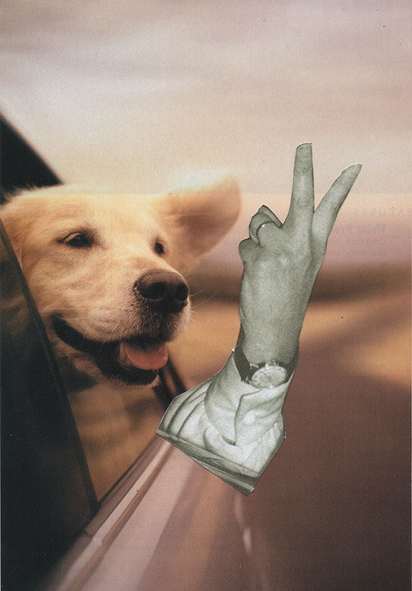365_days_collage_DR.ME_7-its-nice-that-.jpg