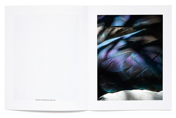 studiobaer-thomaslohr-itsnicethat-3.jpg