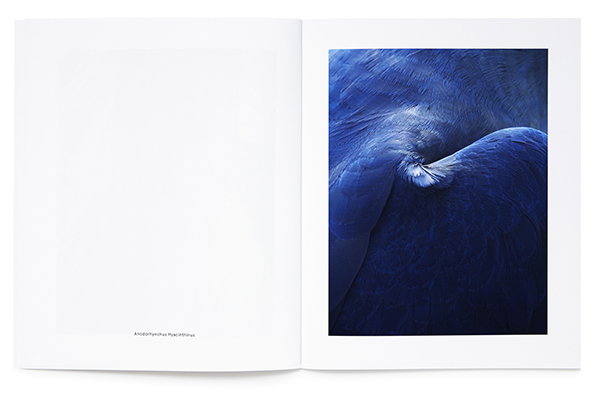 studiobaer-thomaslohr-itsnicethat-11.jpg