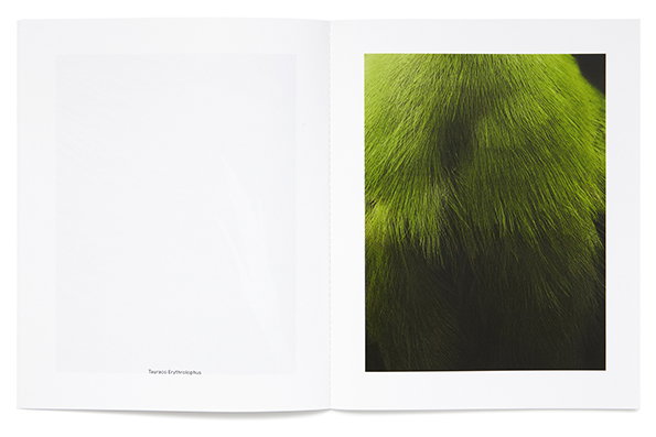 studiobaer-thomaslohr-itsnicethat-9.jpg
