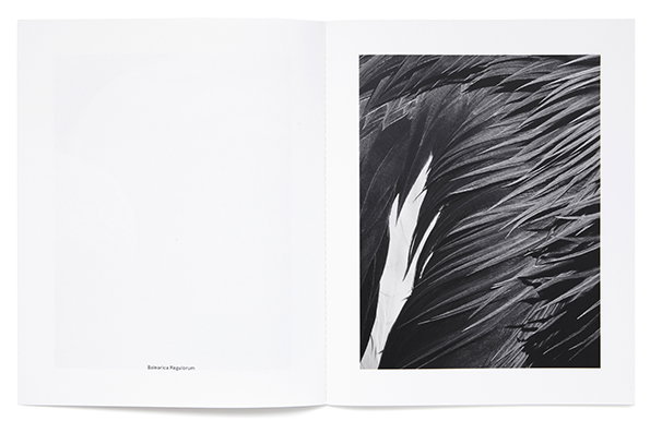 studiobaer-thomaslohr-itsnicethat-8.jpg