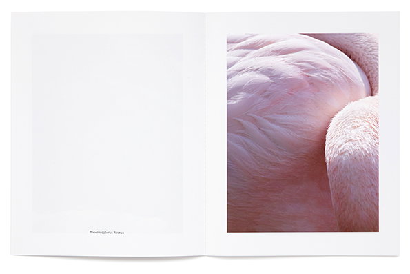 studiobaer-thomaslohr-itsnicethat-5.jpg