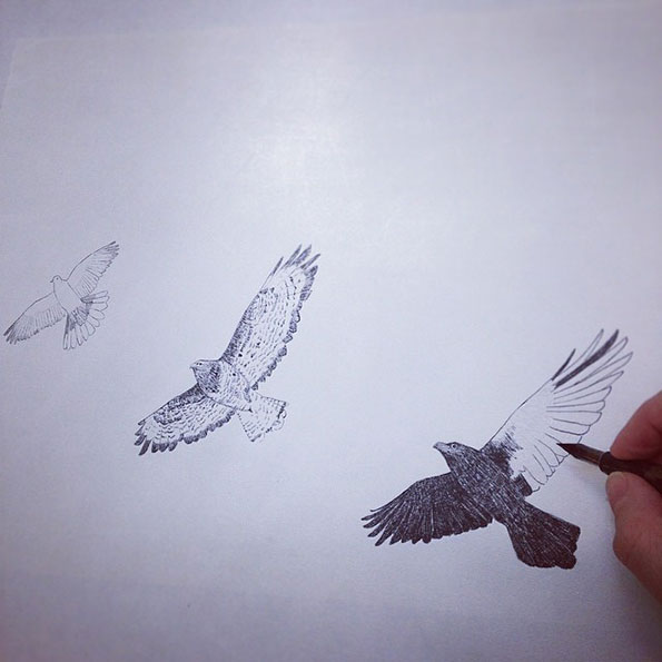 Hanna-Tuulikki-Away-with-the-birds-illustration-its-nice-that-Wip.jpg