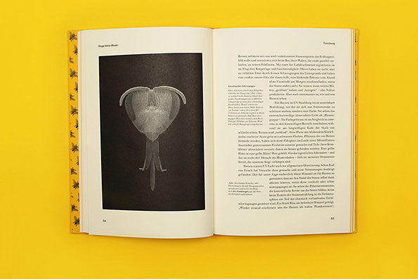 fons-bees-itsnicethat-5.jpg